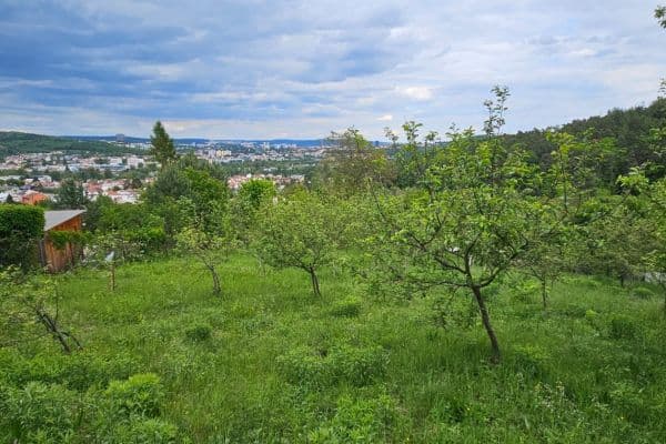 Pronájem pozemku 5.966 m², Muškátová, Brno Pronájem pozemku 5.966 m², Muškátová, Brno