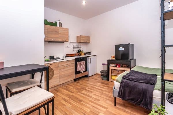 Pronájem bytu 1+kk 26 m², Plotní, Brno Pronájem bytu 1+kk 26 m², Plotní, Brno