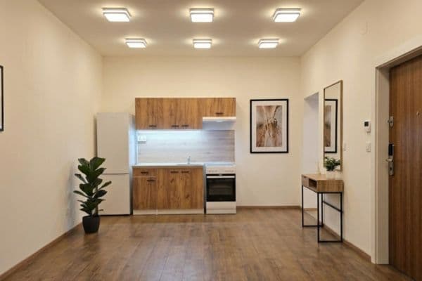 Pronájem bytu 2+kk 55 m², Žitomírská, Praha Pronájem bytu 2+kk 55 m², Žitomírská, Praha