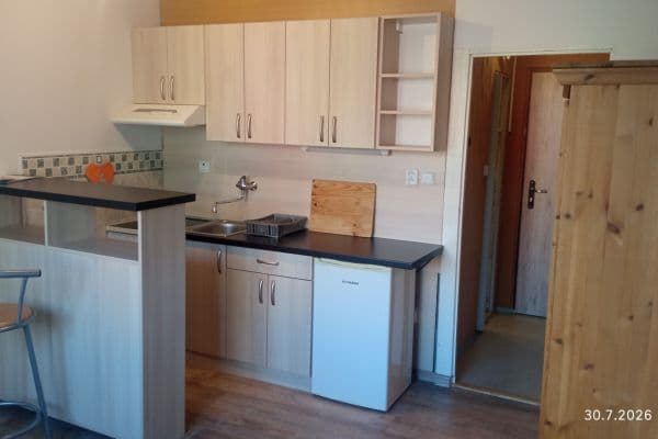 Pronájem bytu 1+kk 20 m², Popelnicová, Plzeň Pronájem bytu 1+kk 20 m², Popelnicová, Plzeň