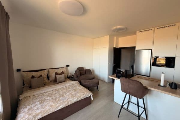 Pronájem bytu 1+kk 28 m², Honzíkova, Praha Pronájem bytu 1+kk 28 m², Honzíkova, Praha