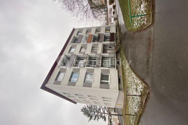 Pronájem bytu 2+1 60 m², Jizerská, Ústí nad Labem