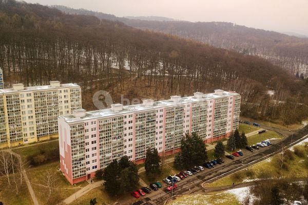 Prodej bytu 4+1 83 m², Luční, Litvínov, Ústecký kraj