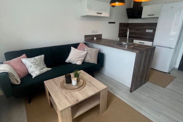 Pronájem bytu 1+kk 37 m², U Velkého rybníka, Plzeň Pronájem bytu 1+kk 37 m², U Velkého rybníka, Plzeň