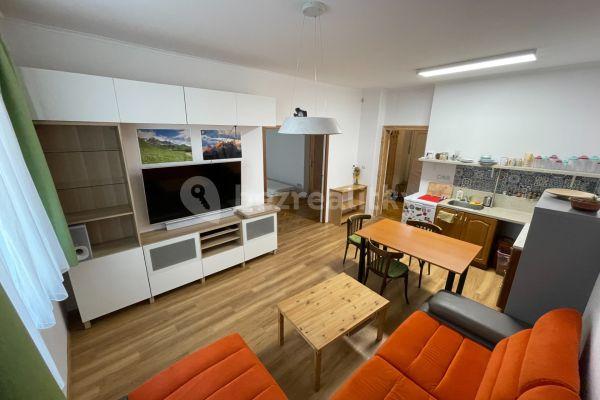 Pronájem bytu 2+kk 50 m², Rybářská, Brno