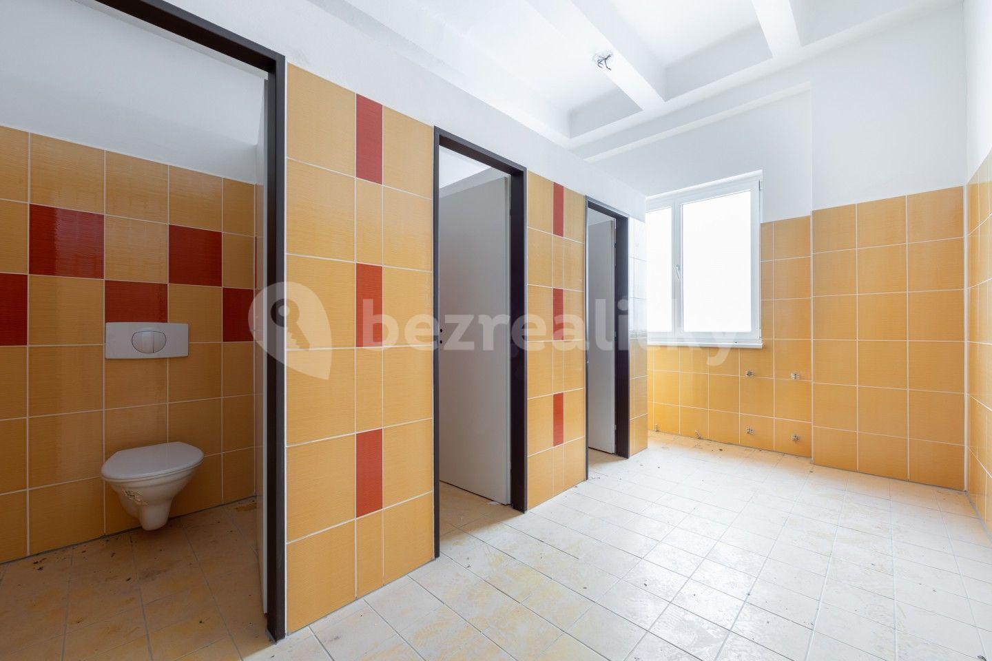 Prodej nebytového prostoru 22.000 m², Rovná, Karlovarský kraj