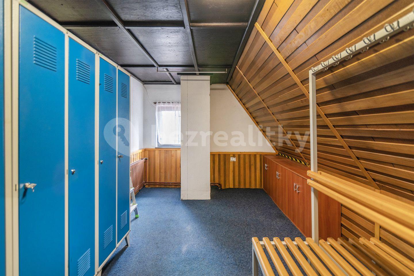 Prodej nebytového prostoru 1.104 m², Tisá, Ústecký kraj