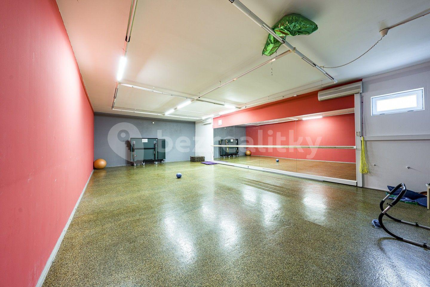 Prodej nebytového prostoru 9.238 m², Truhlářova, Ústí nad Labem, Ústecký kraj