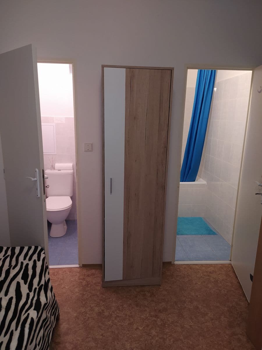 Pronájem bytu  80 m², Voskovcova, Praha, Praha