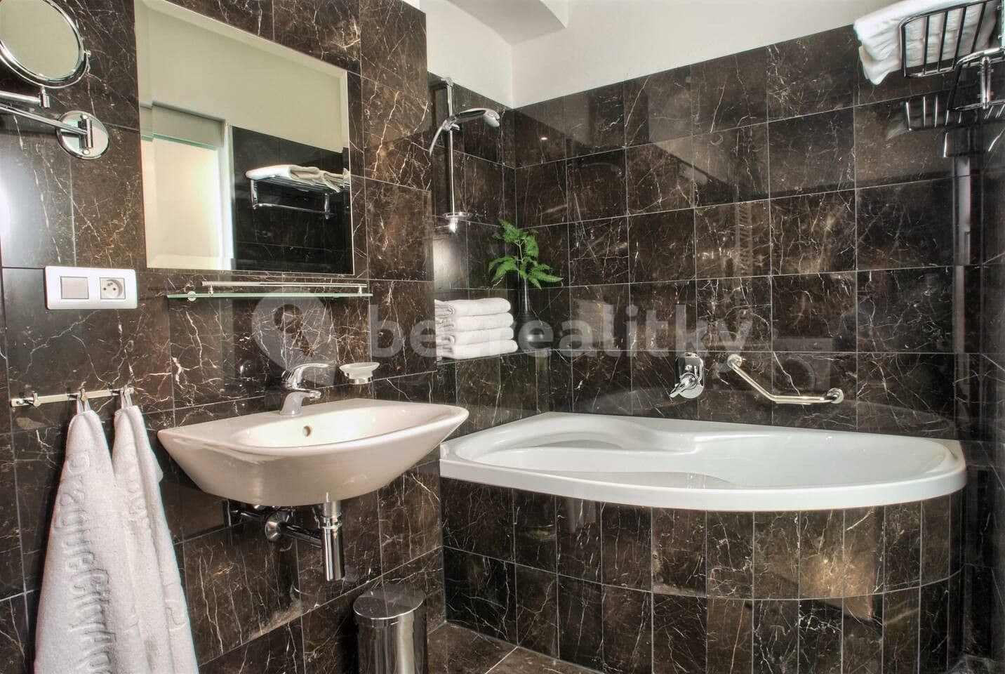Pronájem bytu  44 m², Rybná, Praha, Praha