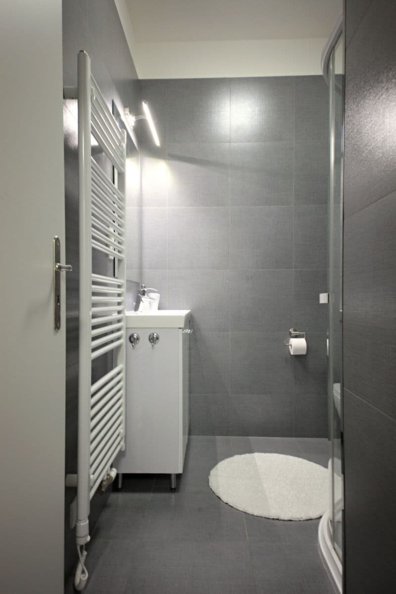 Pronájem bytu  56 m², Slovinská, Praha, Praha