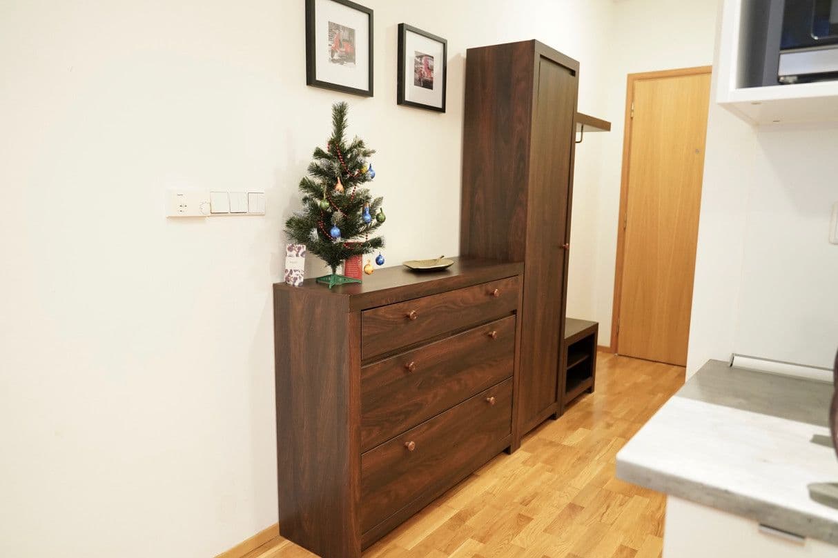 Pronájem bytu  29 m², Korunní, Praha, Praha