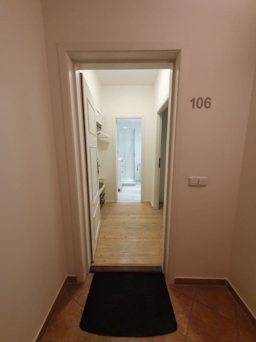 Pronájem bytu  23 m², U Pernikářky, Praha, Praha