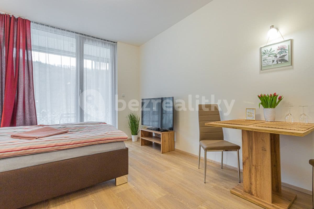 Pronájem bytu  35 m², Hlaváčkova, Praha, Praha