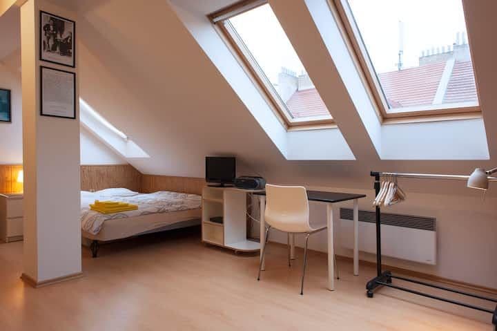 Pronájem bytu  25 m², Heydukova, Praha, Praha