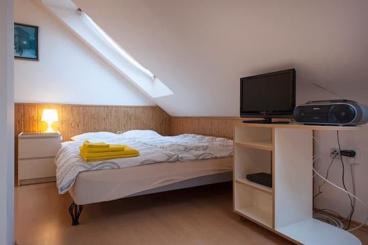 Pronájem bytu  25 m², Heydukova, Praha, Praha
