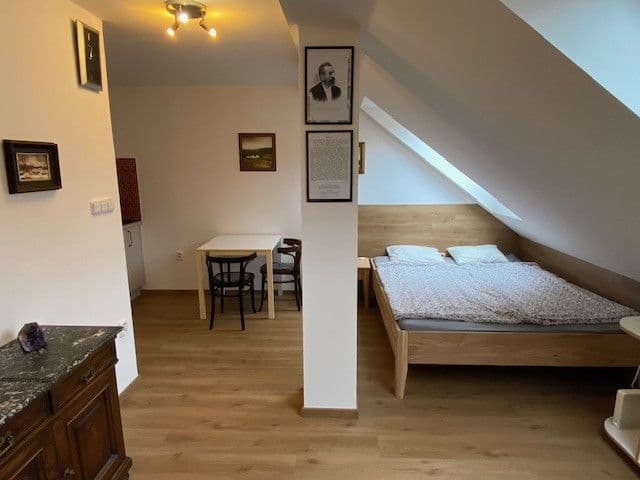 Pronájem bytu  25 m², Heydukova, Praha, Praha