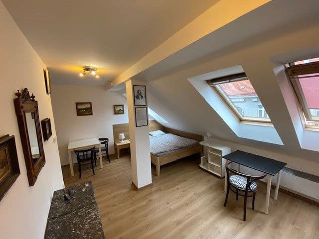 Pronájem bytu  25 m², Heydukova, Praha, Praha