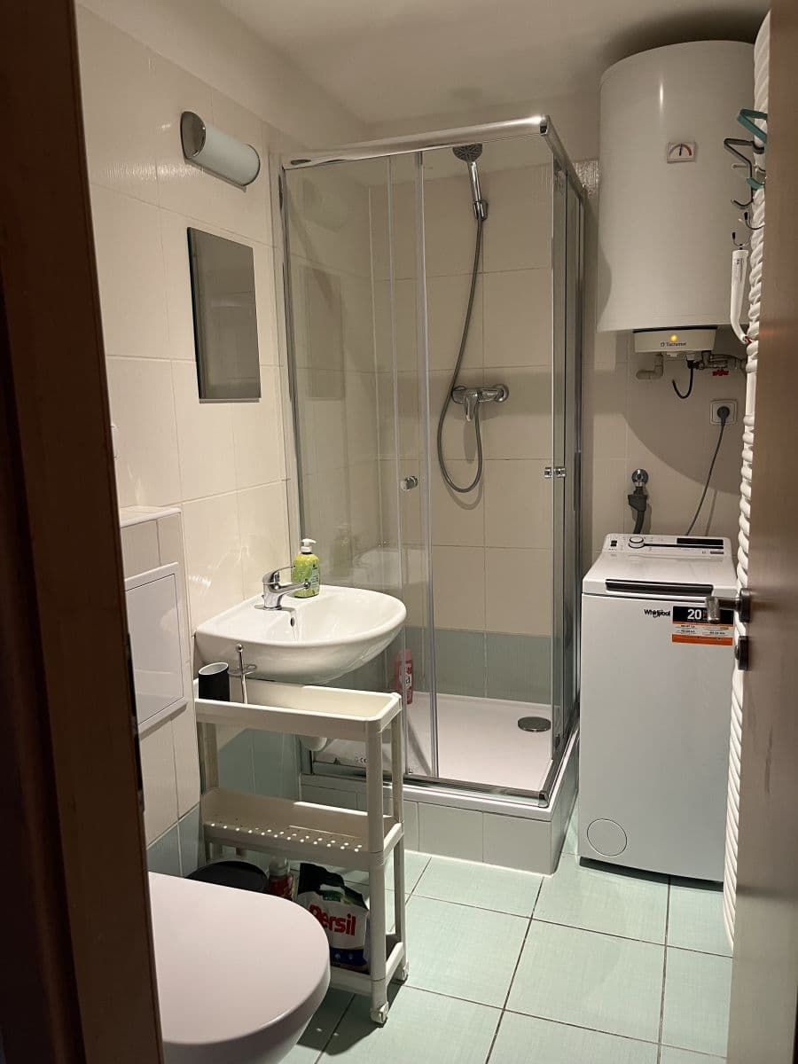 Pronájem bytu  25 m², Heydukova, Praha, Praha