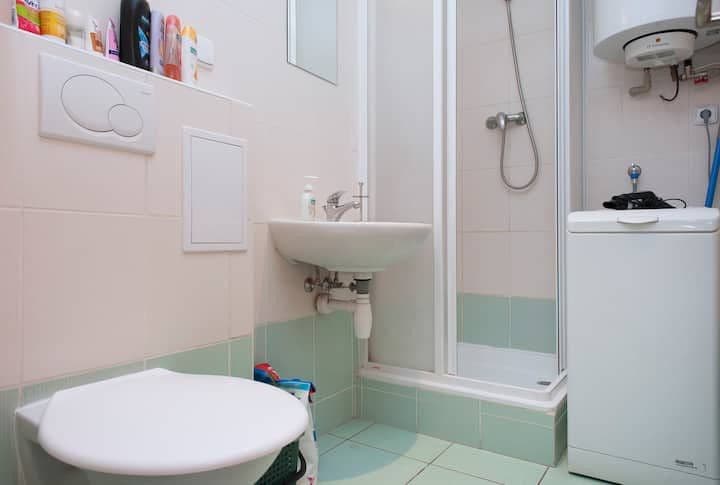 Pronájem bytu  25 m², Heydukova, Praha, Praha