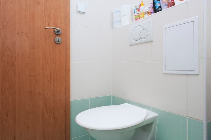 Pronájem bytu  25 m², Heydukova, Praha, Praha