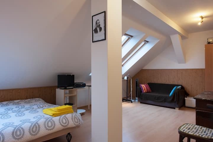 Pronájem bytu  25 m², Heydukova, Praha, Praha