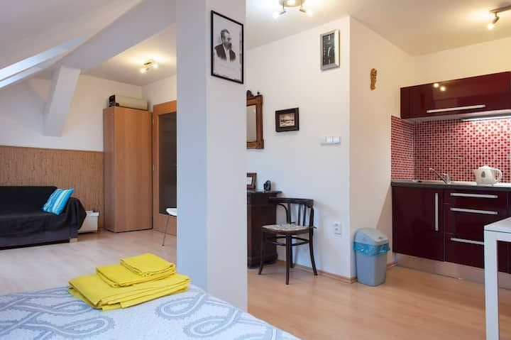 Pronájem bytu  25 m², Heydukova, Praha, Praha