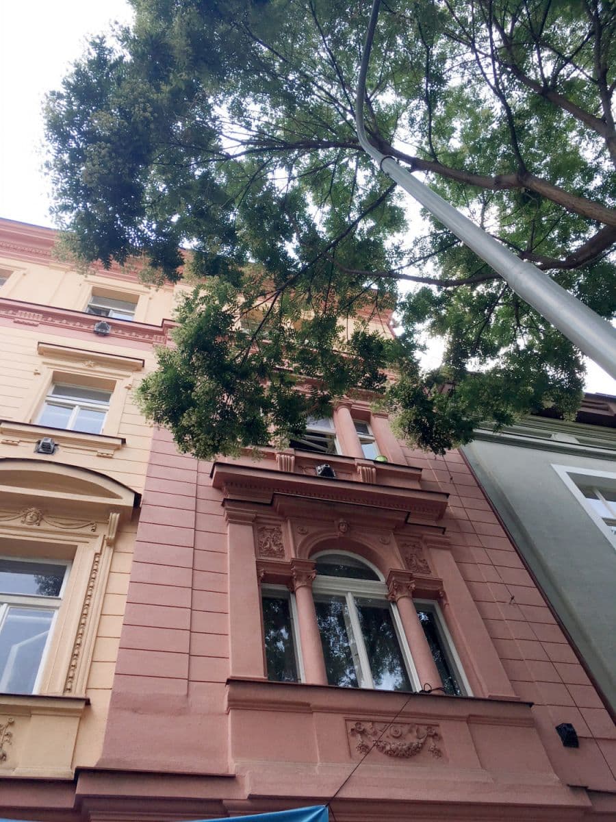 Pronájem bytu  33 m², Pernerova, Praha, Praha