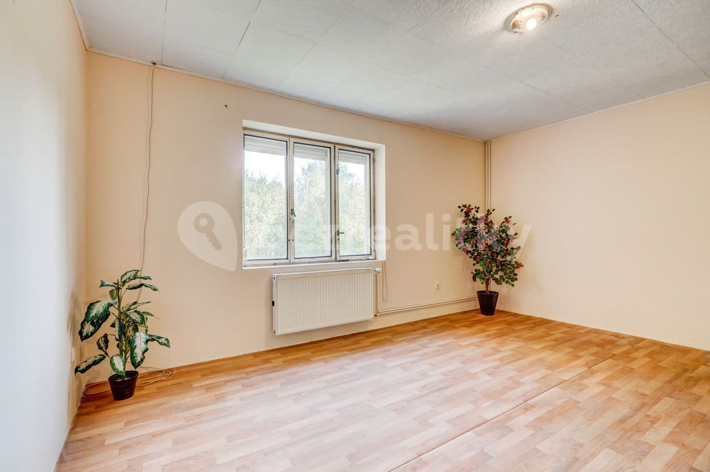Prodej domu 236 m², pozemek 1.657 m², Křižany, Liberecký kraj
