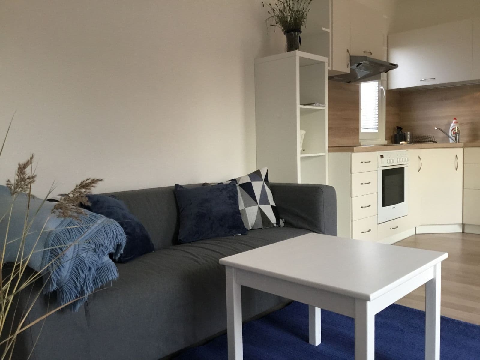 Pronájem bytu  48 m², V Cestách, Šestajovice, Středočeský kraj