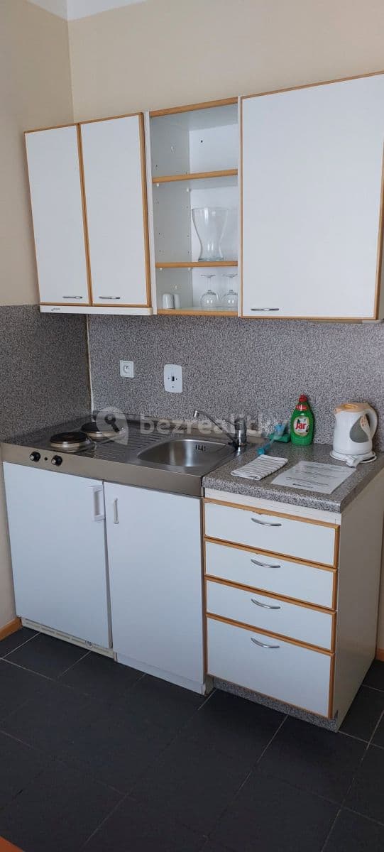 Pronájem bytu  27 m², Americká, Praha, Praha