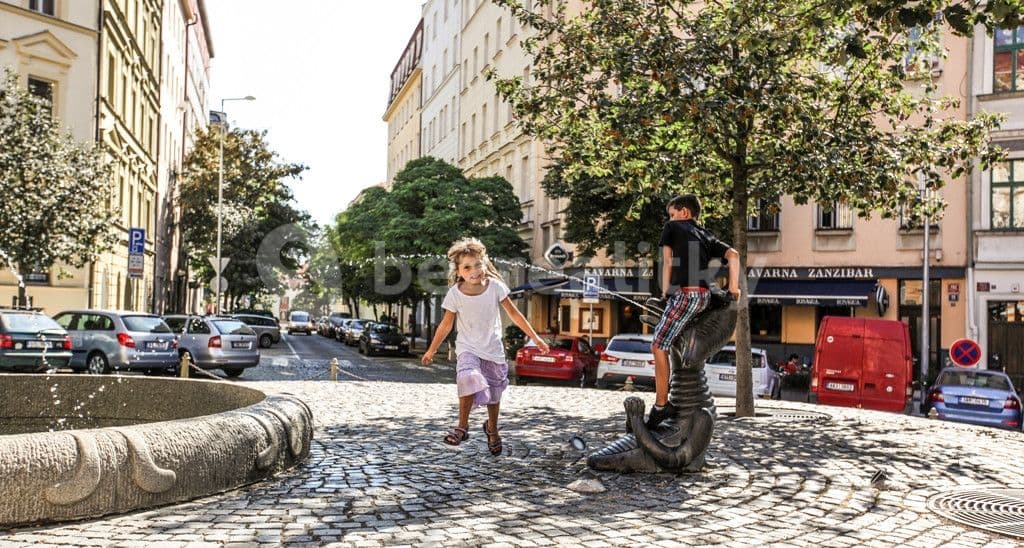 Pronájem bytu  27 m², Americká, Praha, Praha