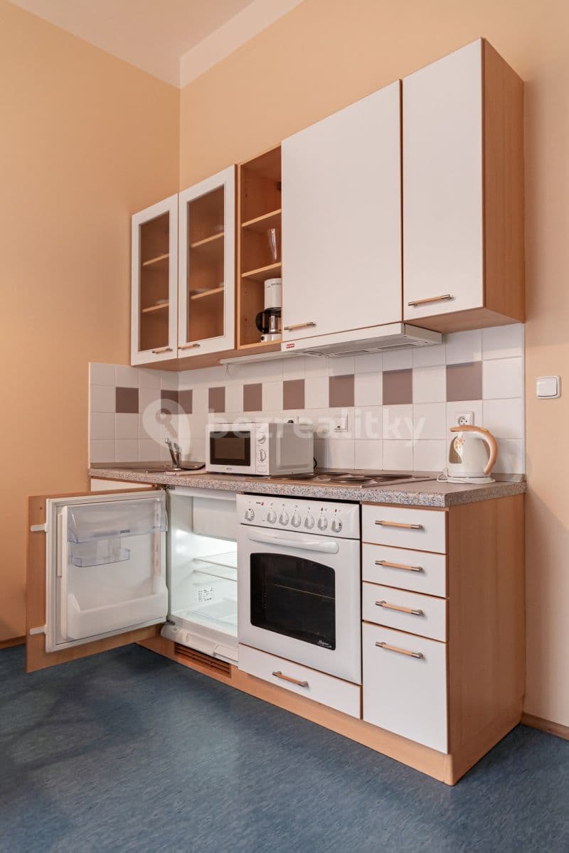 Pronájem bytu 1+1 • 45 m² bez realitky