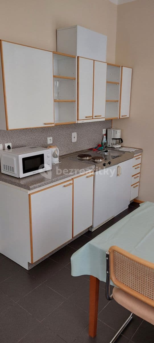 Pronájem bytu 1+1 • 43 m² bez realitky
