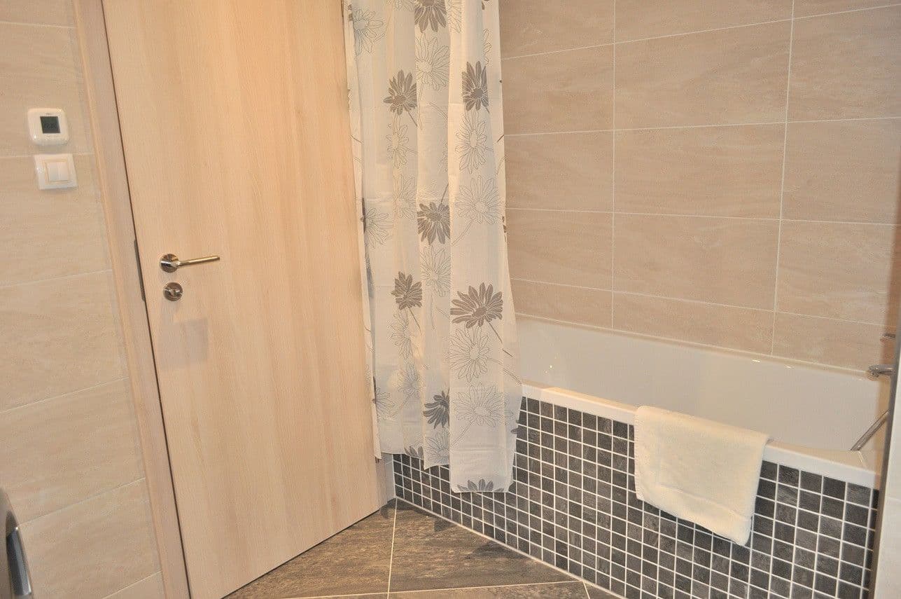 Pronájem bytu  42 m², Olšanská, Praha, Praha