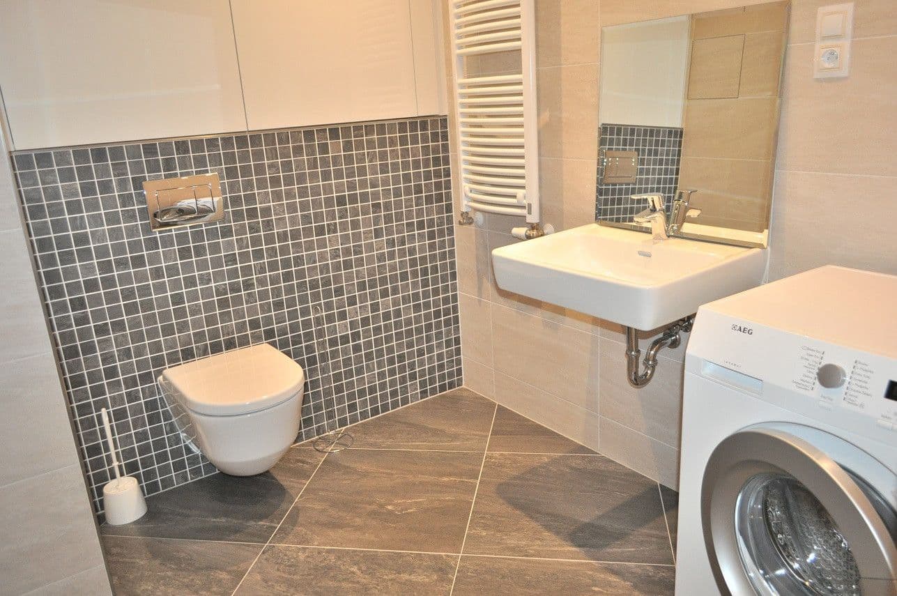 Pronájem bytu  42 m², Olšanská, Praha, Praha