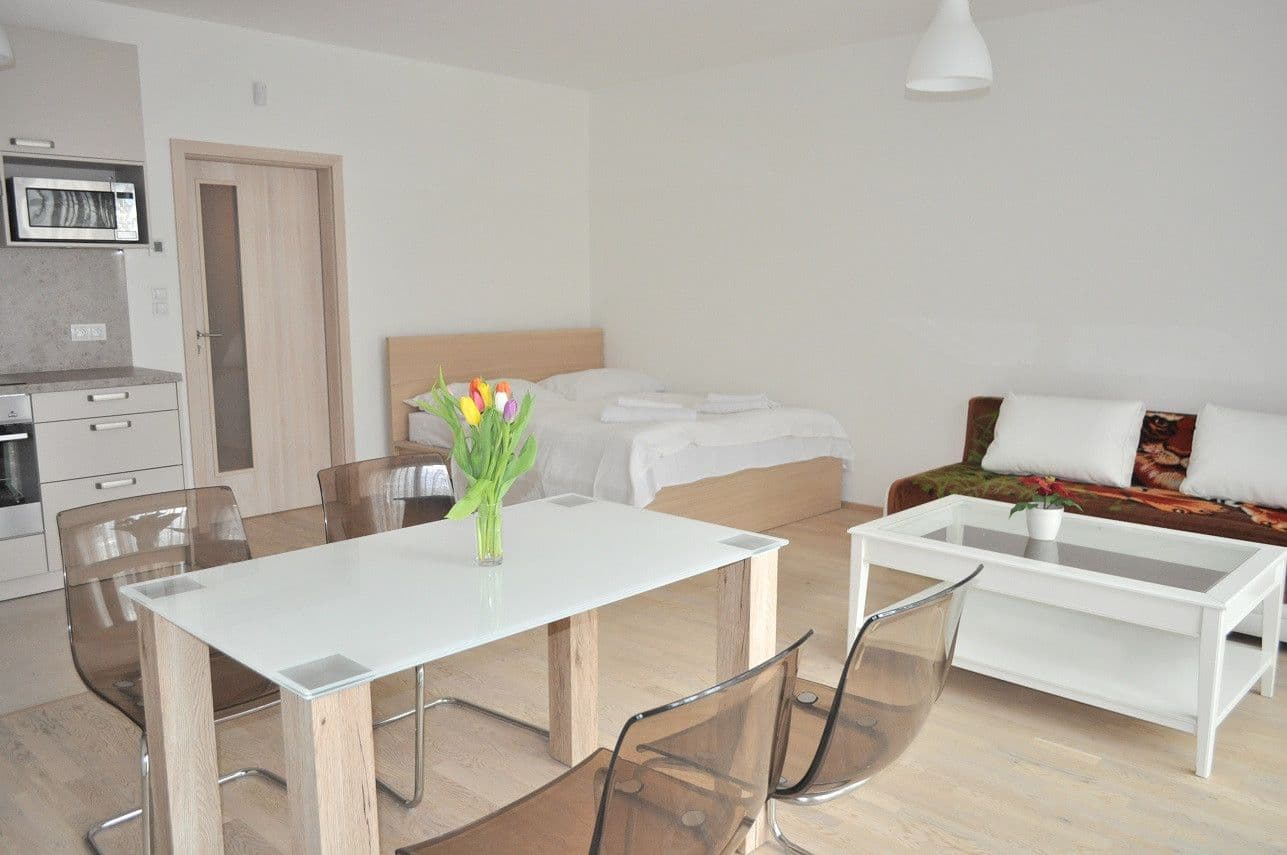 Pronájem bytu  42 m², Olšanská, Praha, Praha