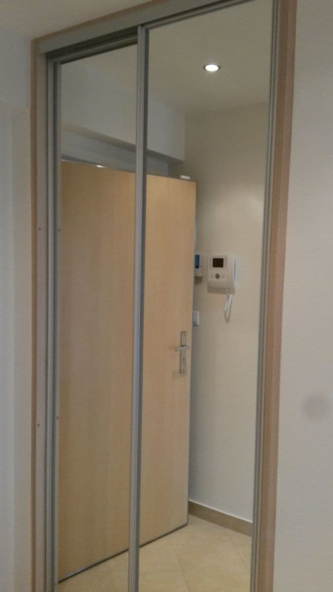 Pronájem bytu  42 m², Olšanská, Praha, Praha