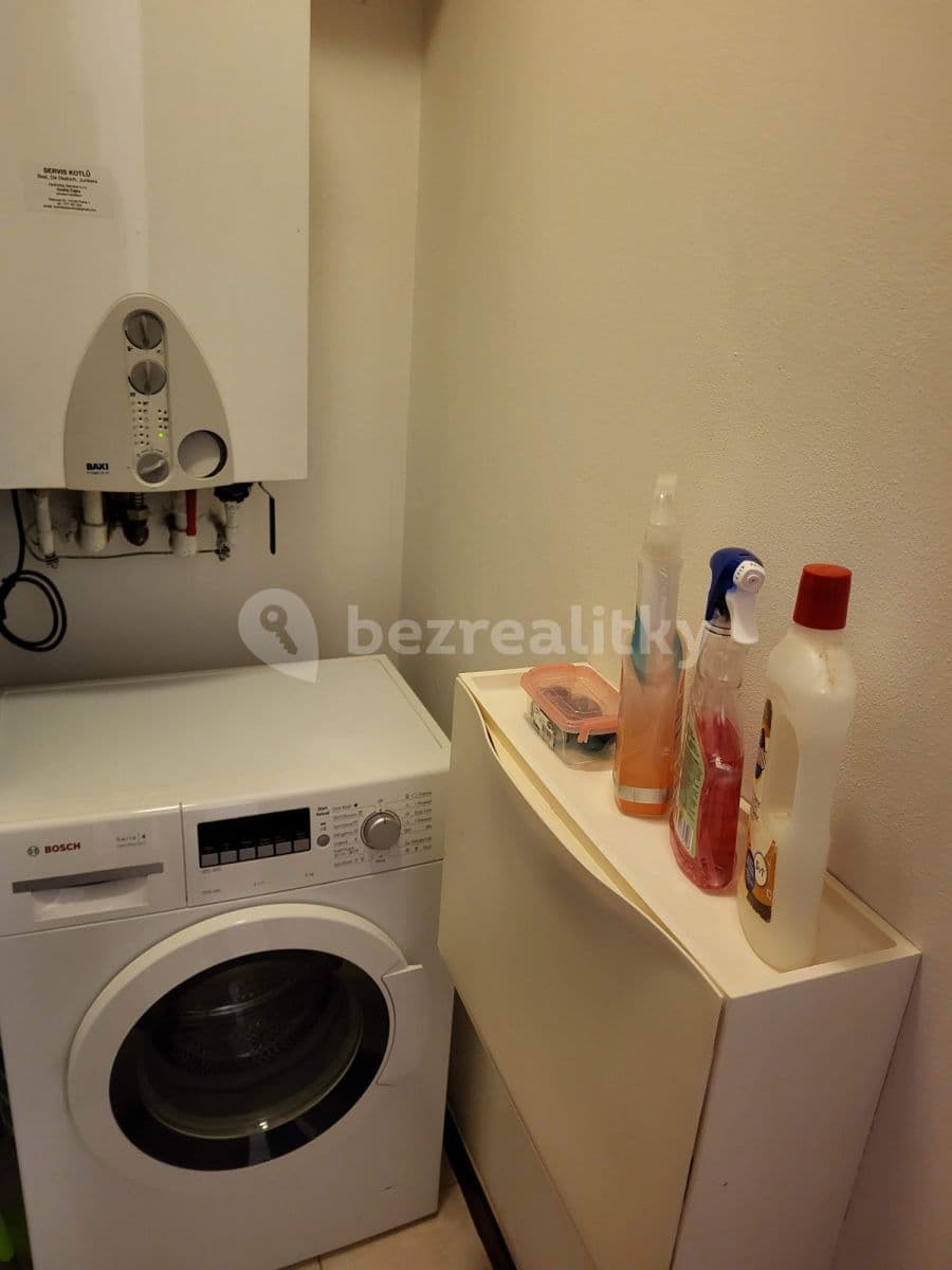 Pronájem bytu  45 m², Koubkova, Praha, Praha
