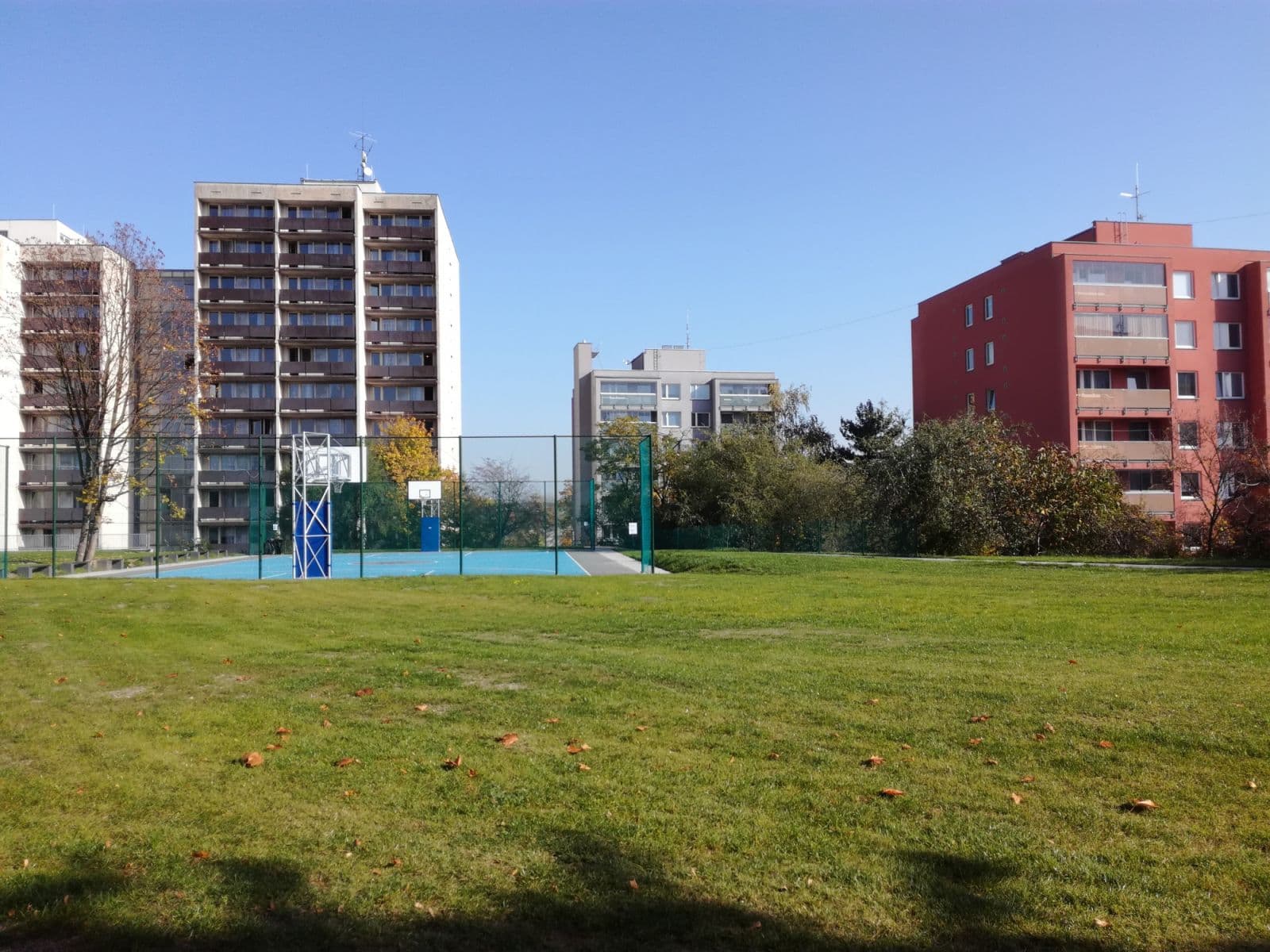 Pronájem bytu  30 m², Jeseniova, Praha, Praha