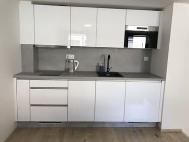 Pronájem bytu  30 m², Rostislavova, Praha, Praha