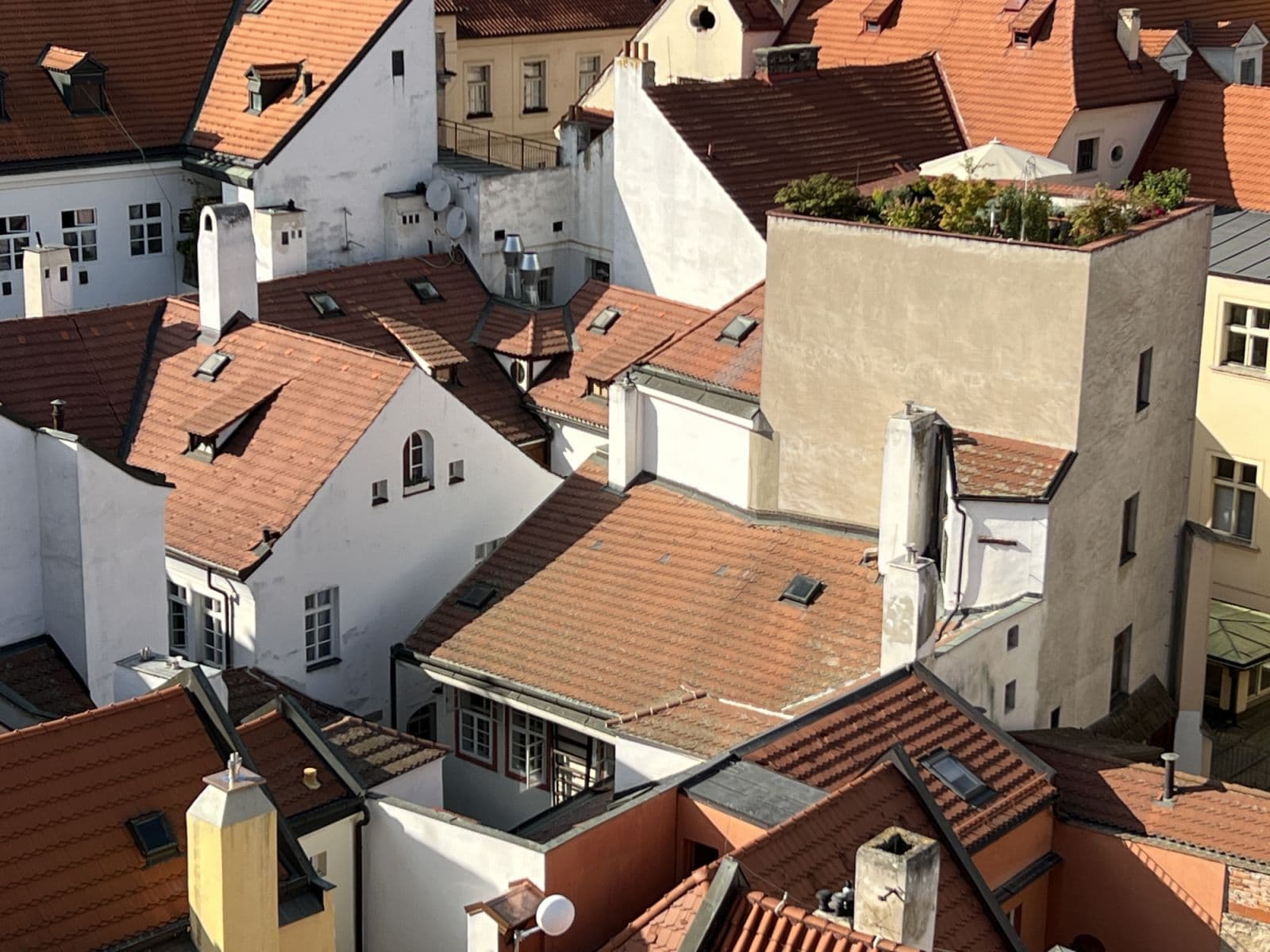 Pronájem bytu  40 m², Mostecká, Praha, Praha