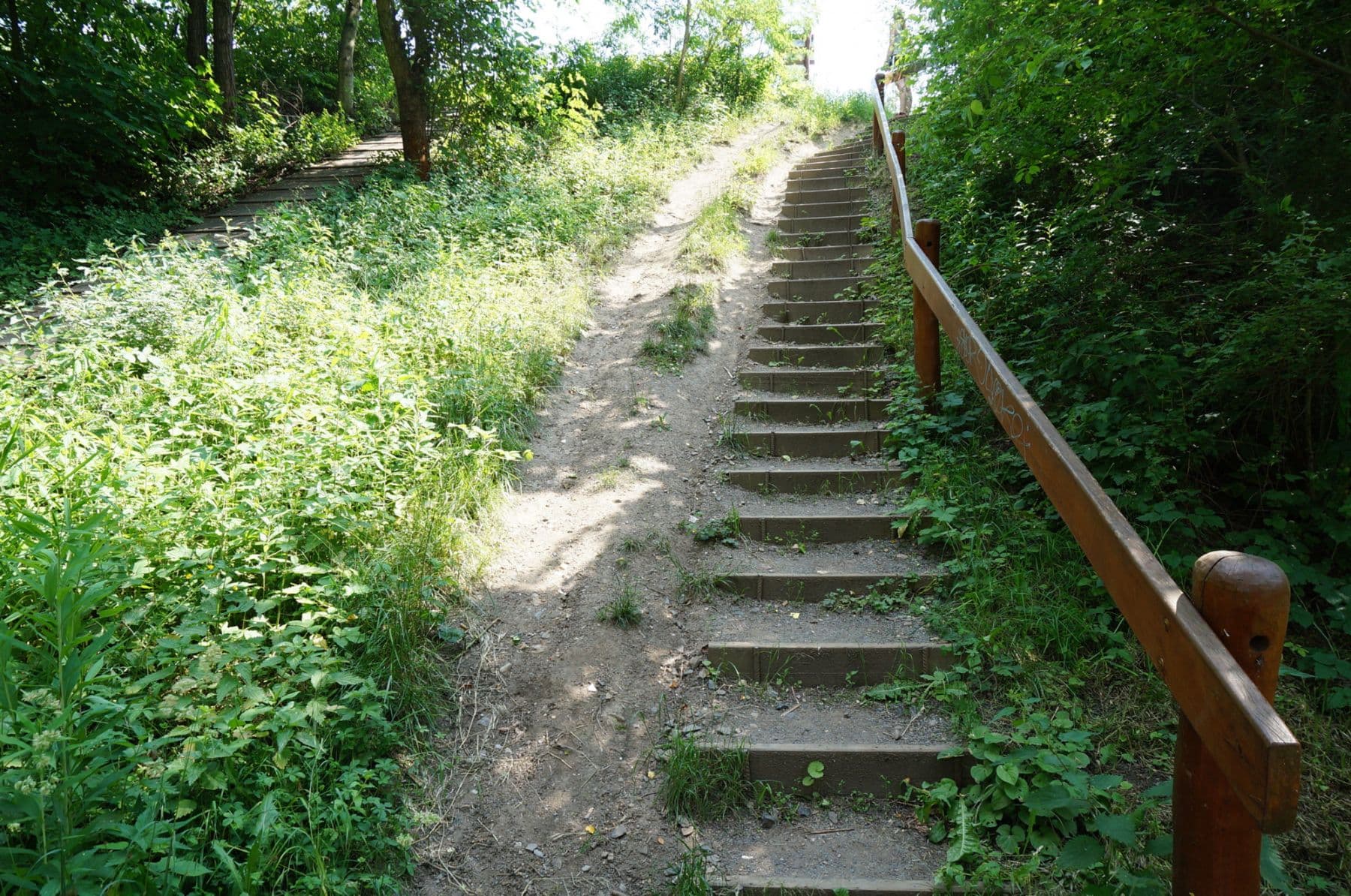 Pronájem bytu  35 m², Modrého, Praha, Praha