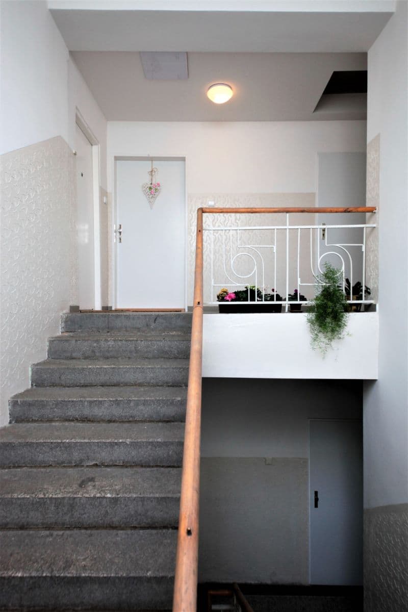 Pronájem bytu  40 m², Buchovcova, Praha, Praha