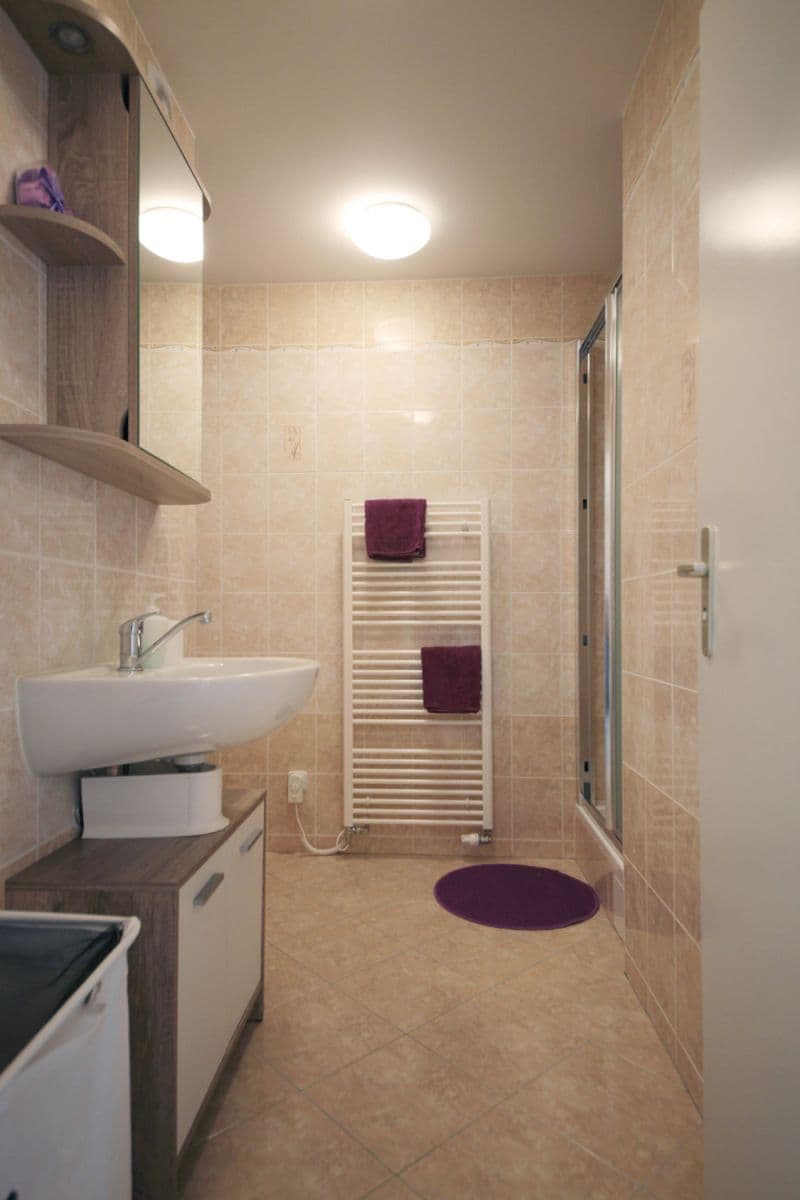 Pronájem bytu  40 m², Buchovcova, Praha, Praha