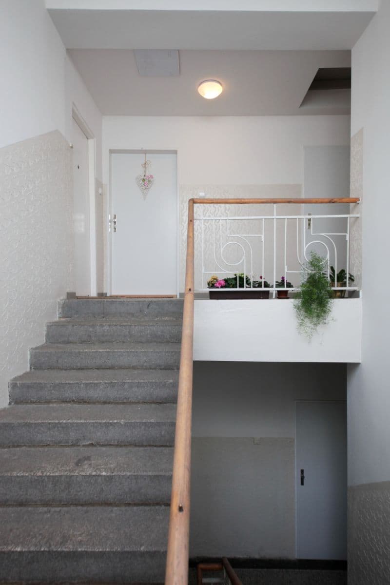 Pronájem bytu  40 m², Buchovcova, Praha, Praha
