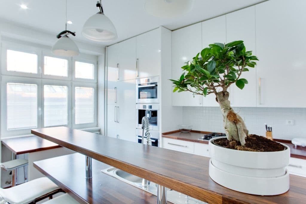 Pronájem bytu  70 m², Neklanova, Praha, Praha