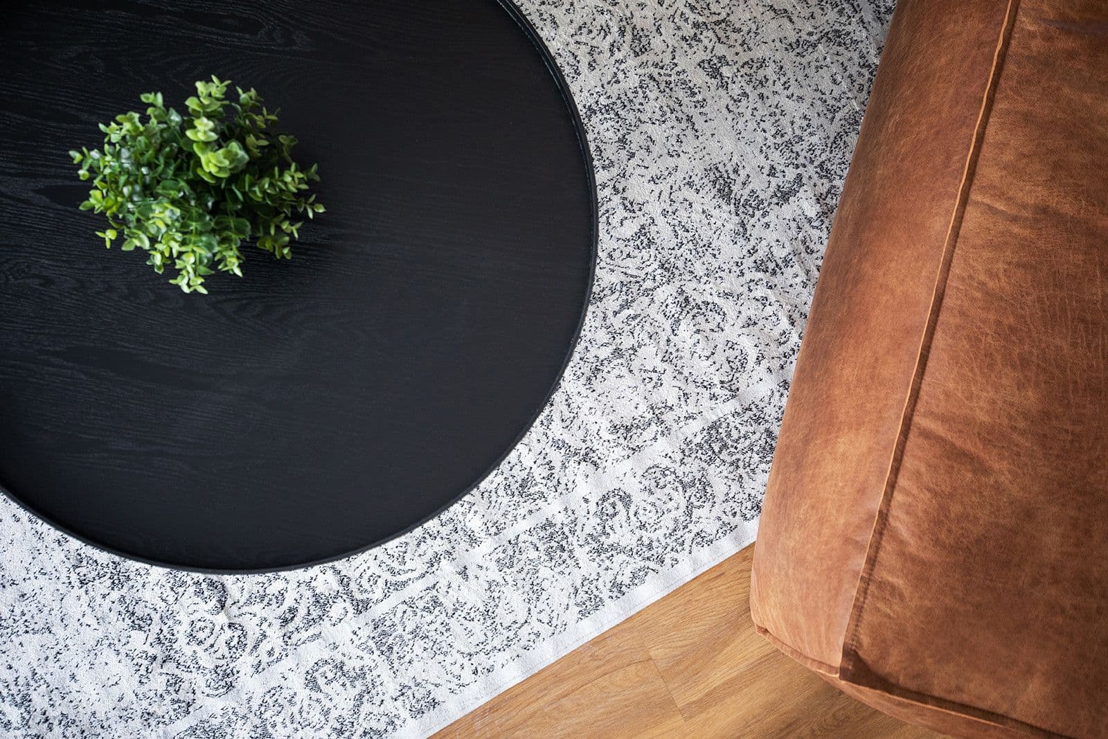 Pronájem bytu  82 m², Nekvasilova, Praha, Praha