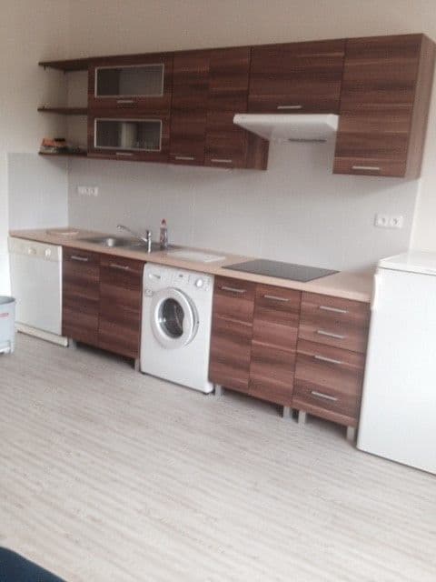 Pronájem bytu  50 m², U Nových domů III, Praha, Praha