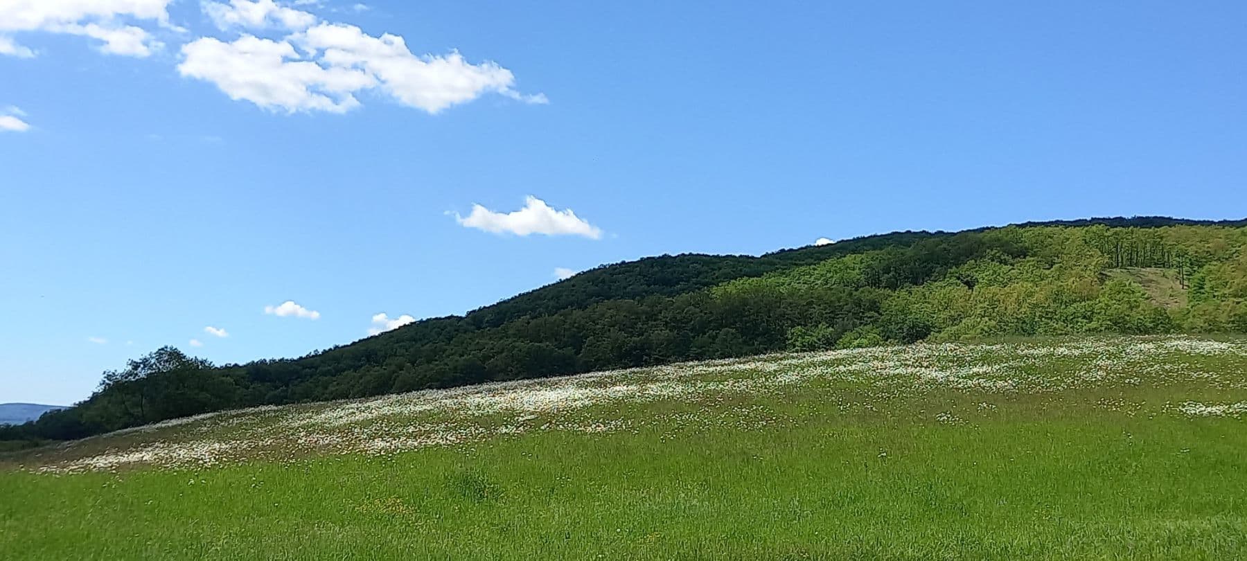 Pronájem bytu  75 m², Mezník, Litava, Banskobystrický kraj